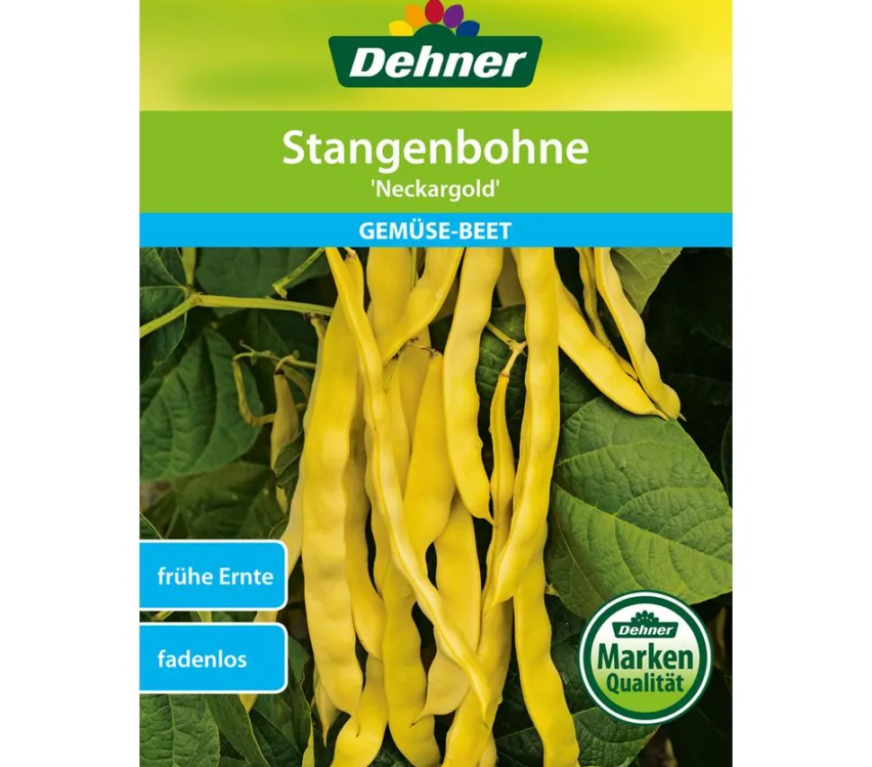 Dehner Samen Stangenbohnen 'Neckargold'