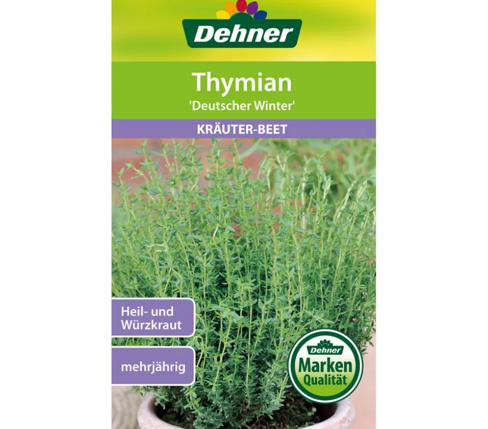 Dehner Samen Thymian 'Deutscher Winter'