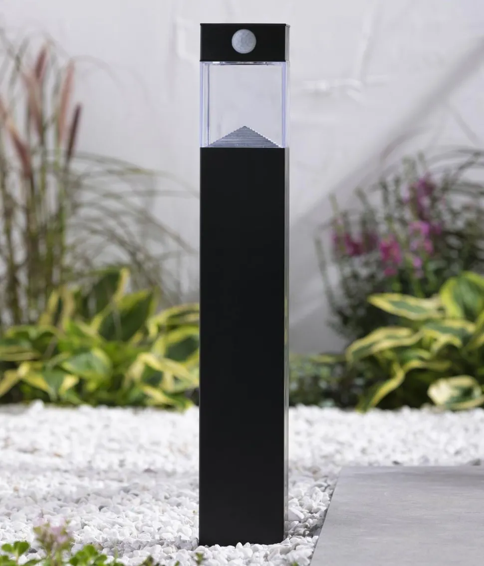 Dehner Solar-Wegleuchte Goran, ca. B8/H50/T8 cm