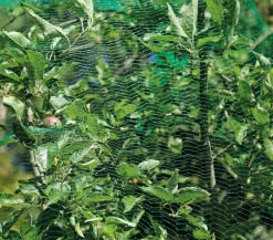 Dehner Vogelschutz-Netz, 5 x 4 m