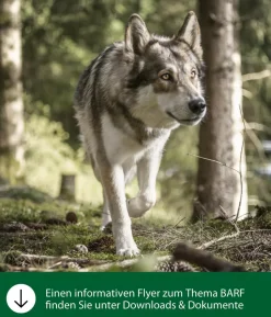 Dehner Wild Nature BARF-Ergänzungsfutter für Hunde Flocken-Mix Pastinake-Kürbis