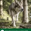 Dehner Wild Nature BARF-Ergänzungsfutter für Hunde Spirulina