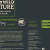 Dehner Wild Nature Hundesnack Pferde-Lungenwürfel, 200 g