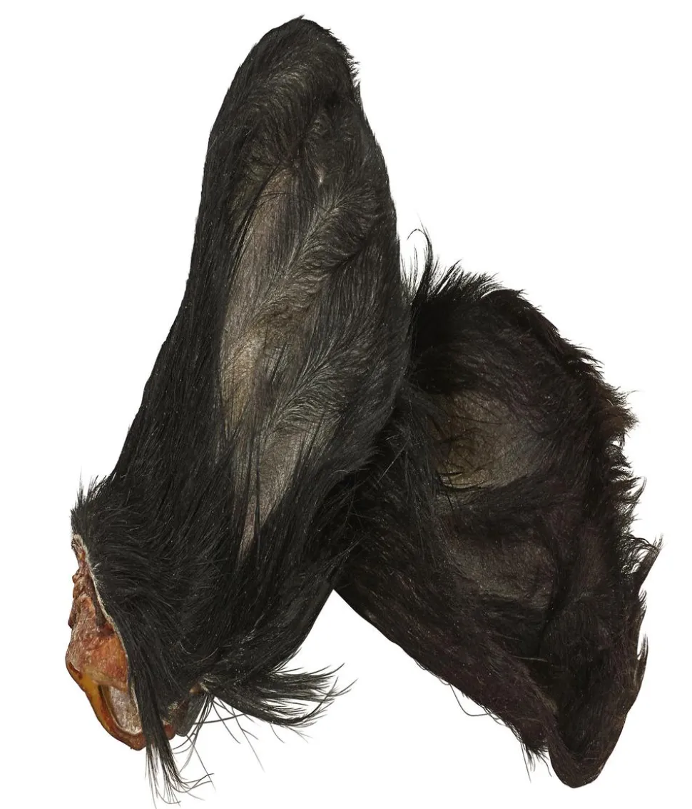 Dehner Wild Nature Hundesnack Kalbsohren mit Fell