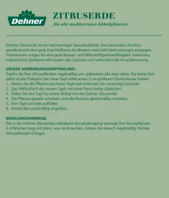 Dehner Zitruserde, 51 x 20 Liter