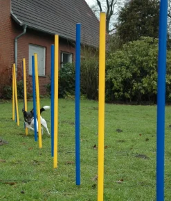 dobar® petlife Agility Slalom-Set, 12-teilig