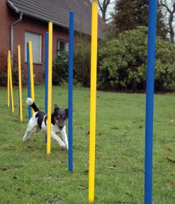 dobar® petlife Agility Slalom-Set, 12-teilig