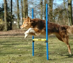 dobar® petlife Agility Sprung-Set, 3-teilig