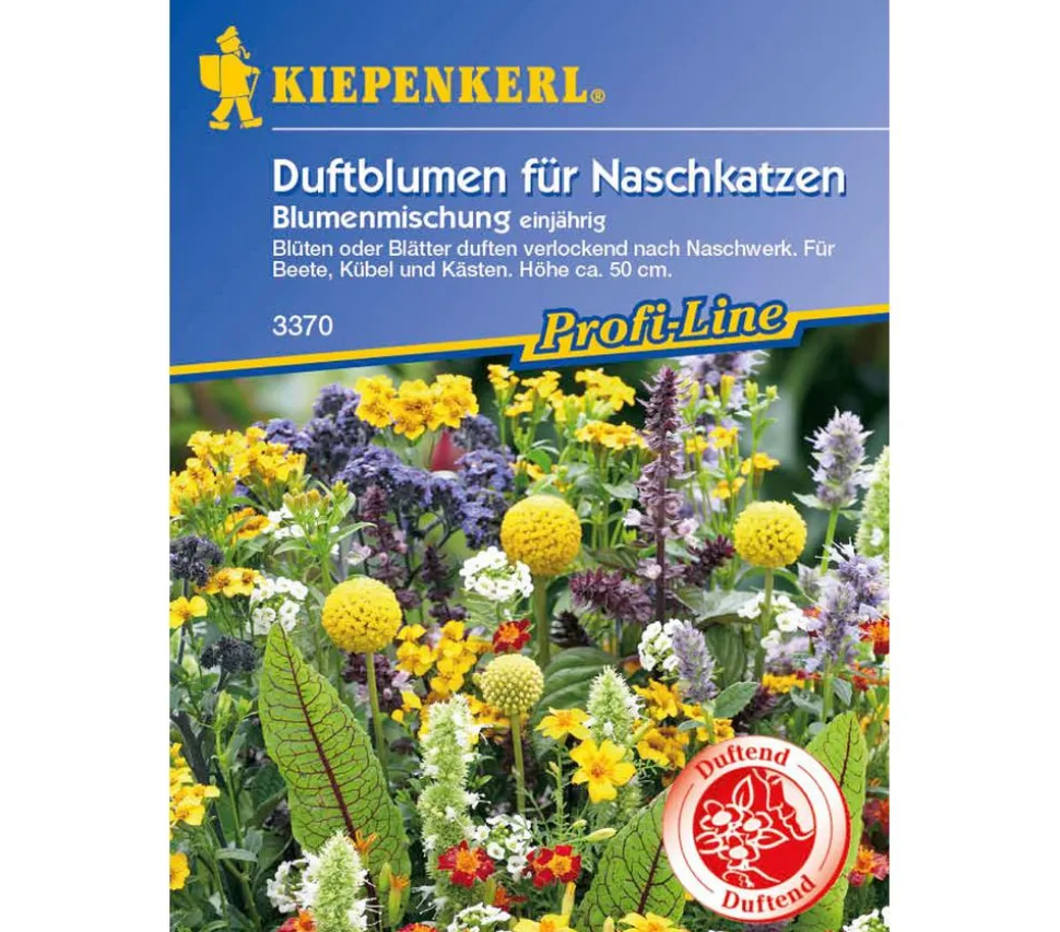 Duftblumen für Naschkatzen Mix, Saatgut von Kiepenkerl