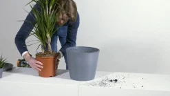 Ecopots Kunststoff-Kasten Manhattan Wall mit Wassersystem, rechteckig