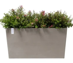 Ecopots Kunststoff-Kasten Paris mit Rollen, rechteckig
