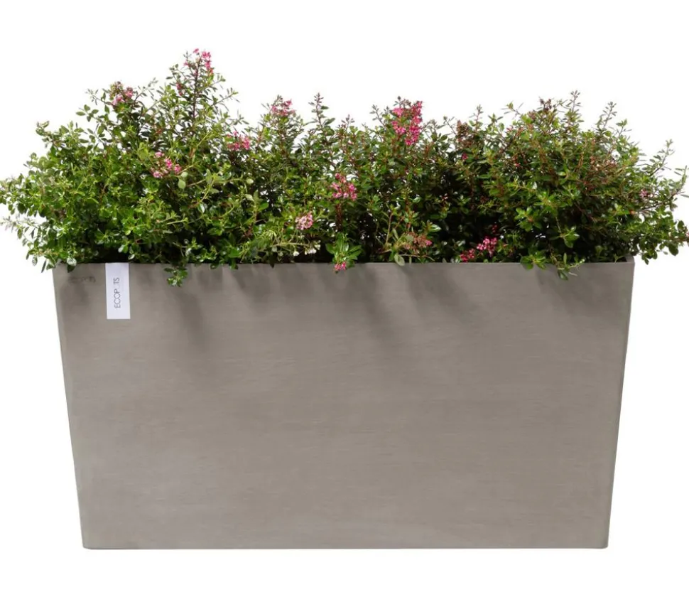 Ecopots Kunststoff-Kasten Paris mit Rollen, rechteckig