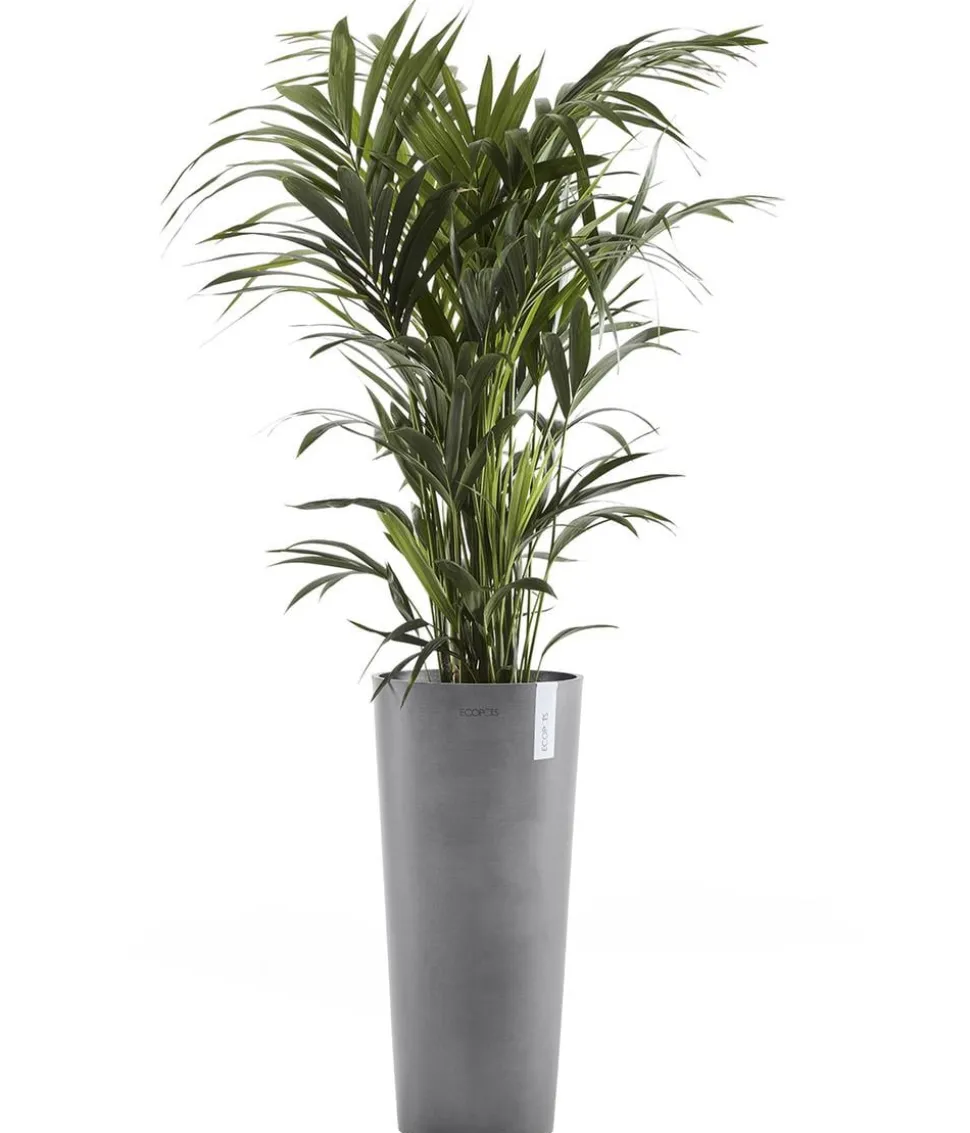 Ecopots Kunststoff-Topf Amsterdam hoch, rund