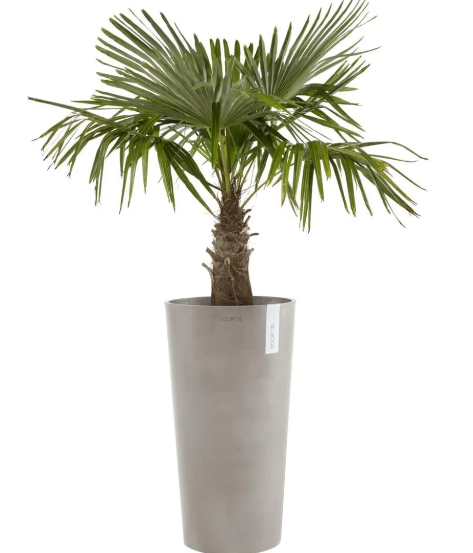 Ecopots Kunststoff-Topf Amsterdam hoch, rund