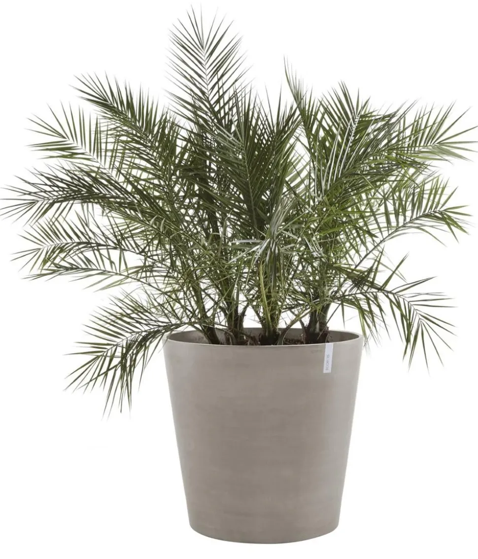 Ecopots Kunststoff-Topf Amsterdam mit Rollen, rund