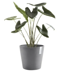 Ecopots Kunststoff-Topf Amsterdam, rund