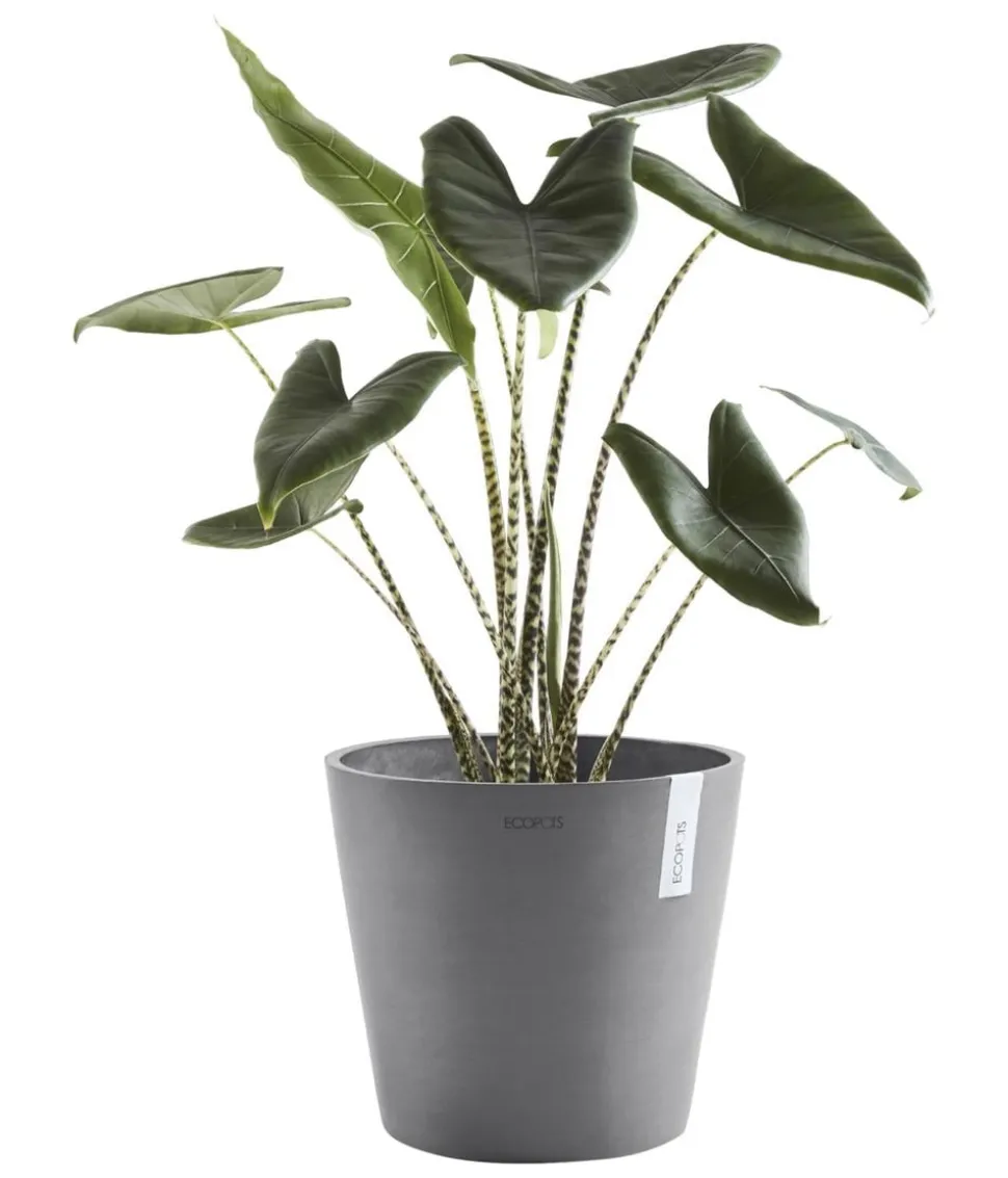 Ecopots Kunststoff-Topf Amsterdam, rund