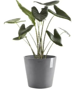 Ecopots Kunststoff-Topf Amsterdam, rund