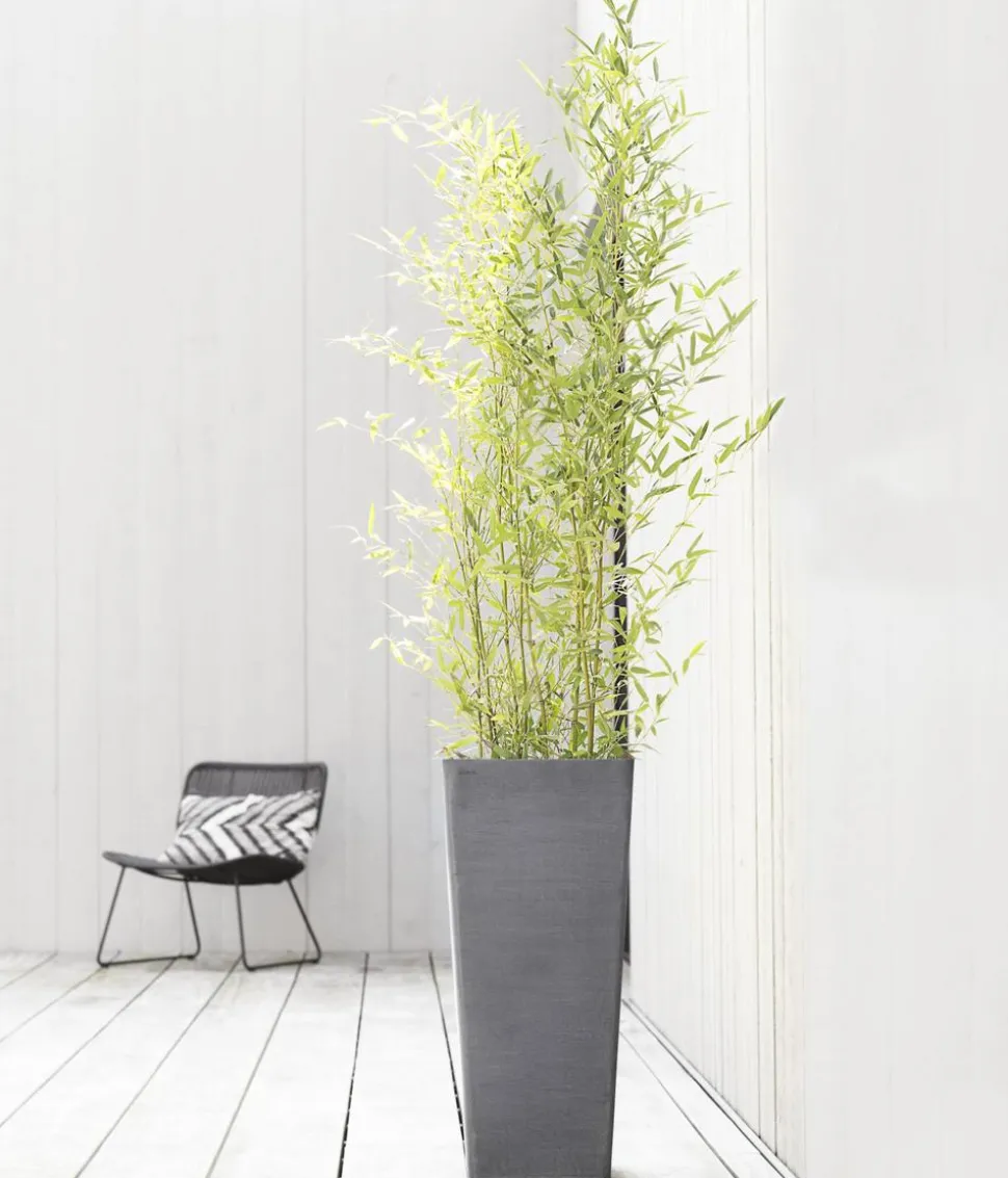 Ecopots Kunststoff-Topf Rotterdam Hoch, quadratisch