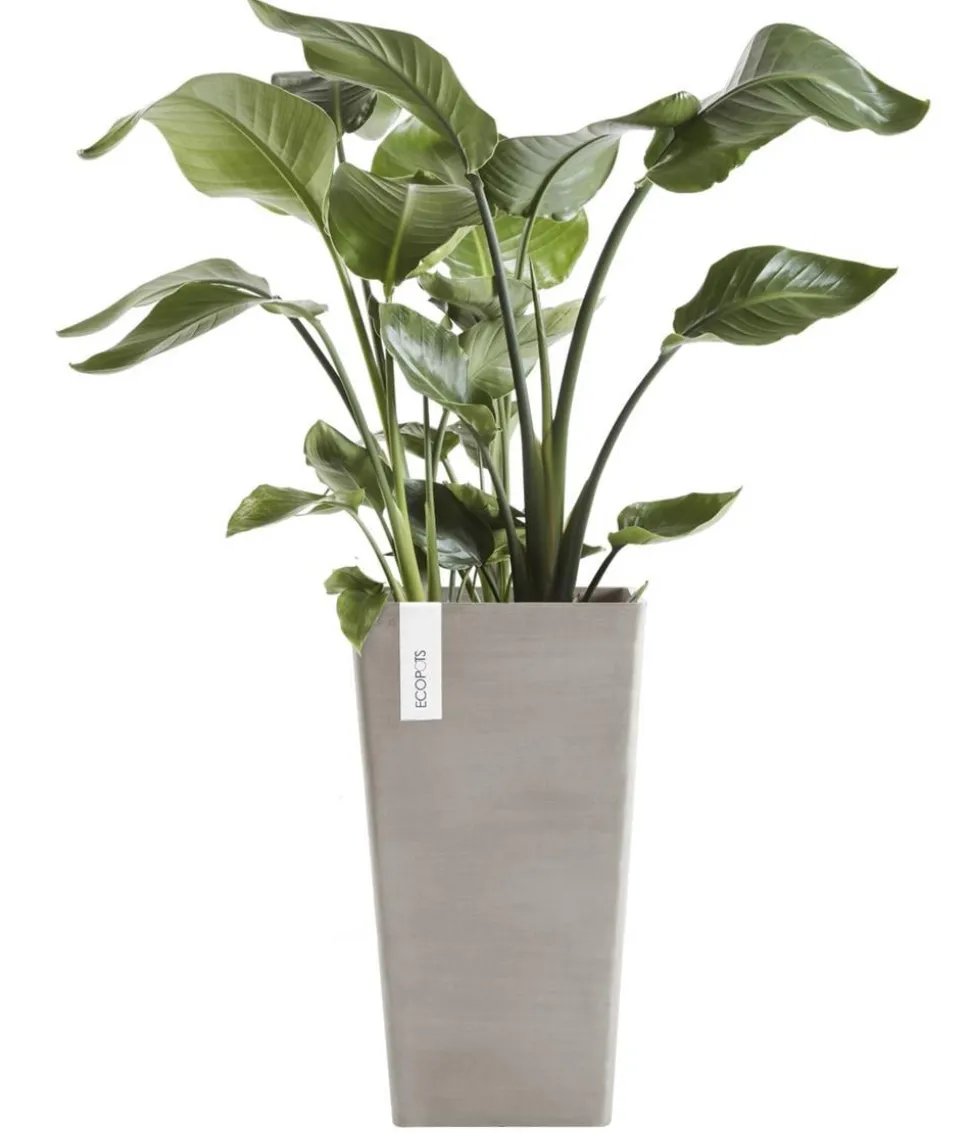 Ecopots Kunststoff-Topf Rotterdam Hoch, quadratisch