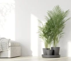 Ecopots Kunststoff-Topf-Set Dubai mit Untersetzer, 4-teilig
