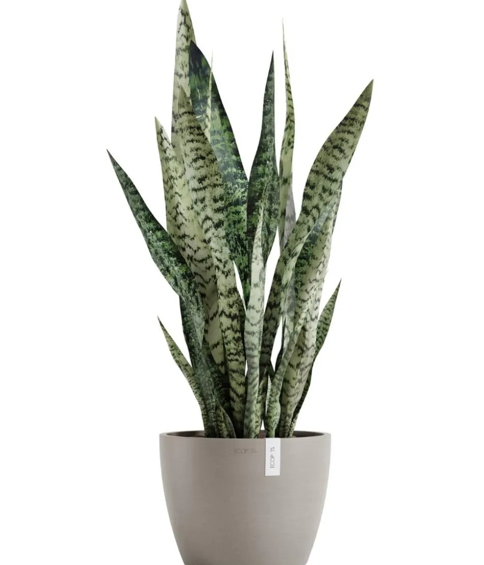Ecopots Kunststoff-Topf Stockholm, rund