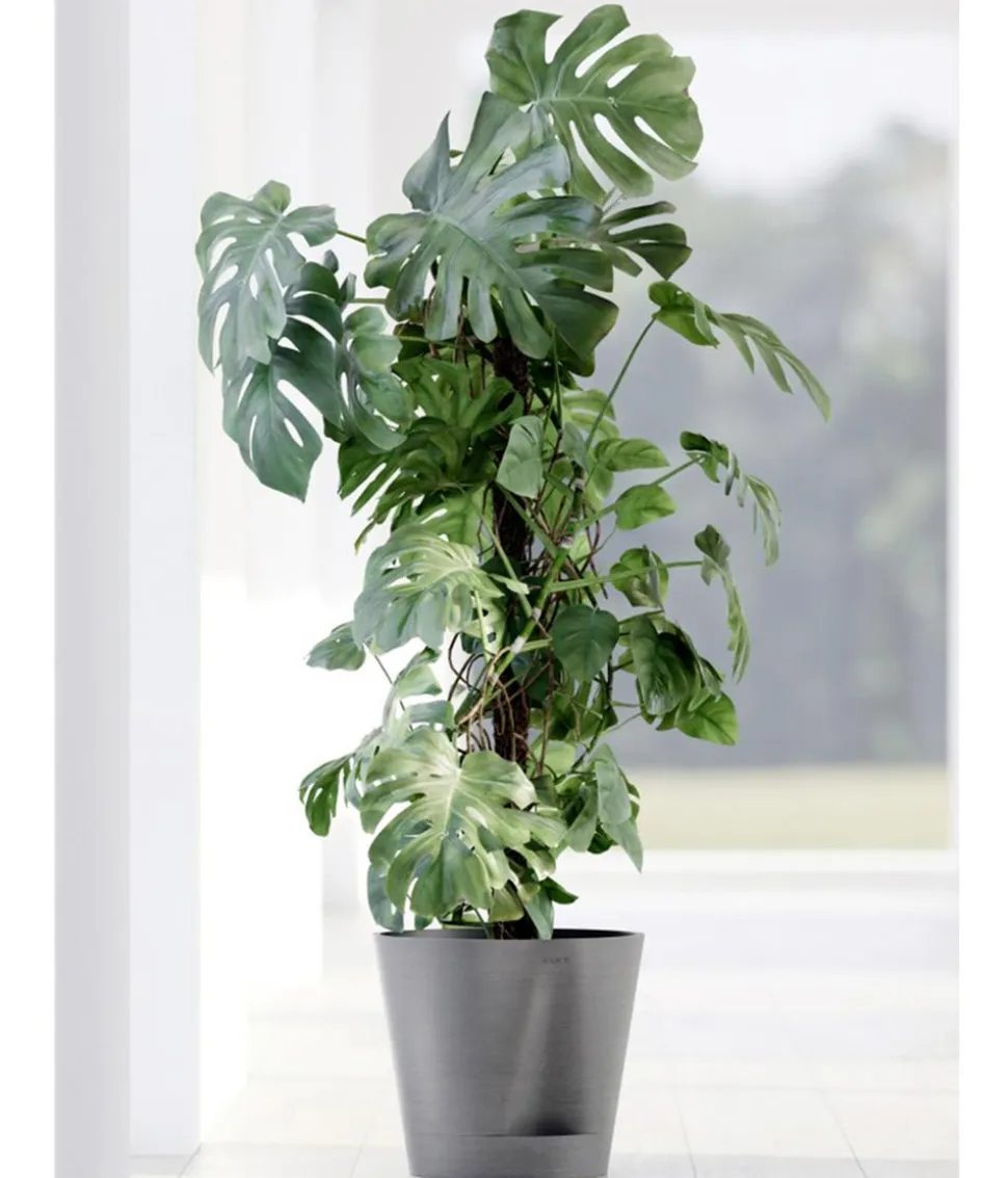 Ecopots Kunststoff-Topf Venice 2, rund