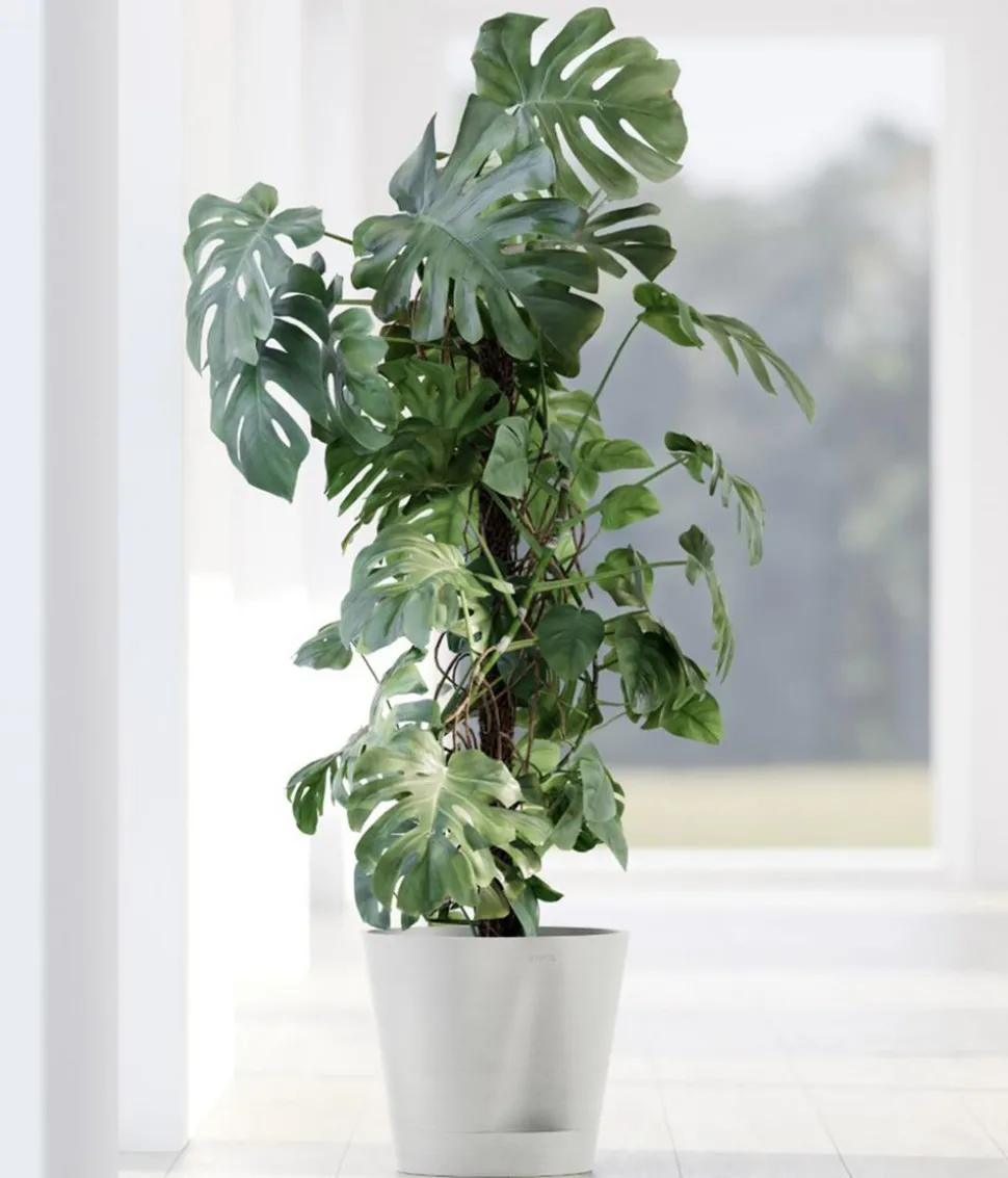 Ecopots Kunststoff-Topf Venice 2, rund