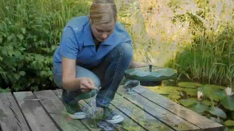 Esotec Solarpumpe Seerose für den Gartenteich