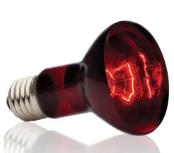 Exo Terra® Infrared Basking Spot