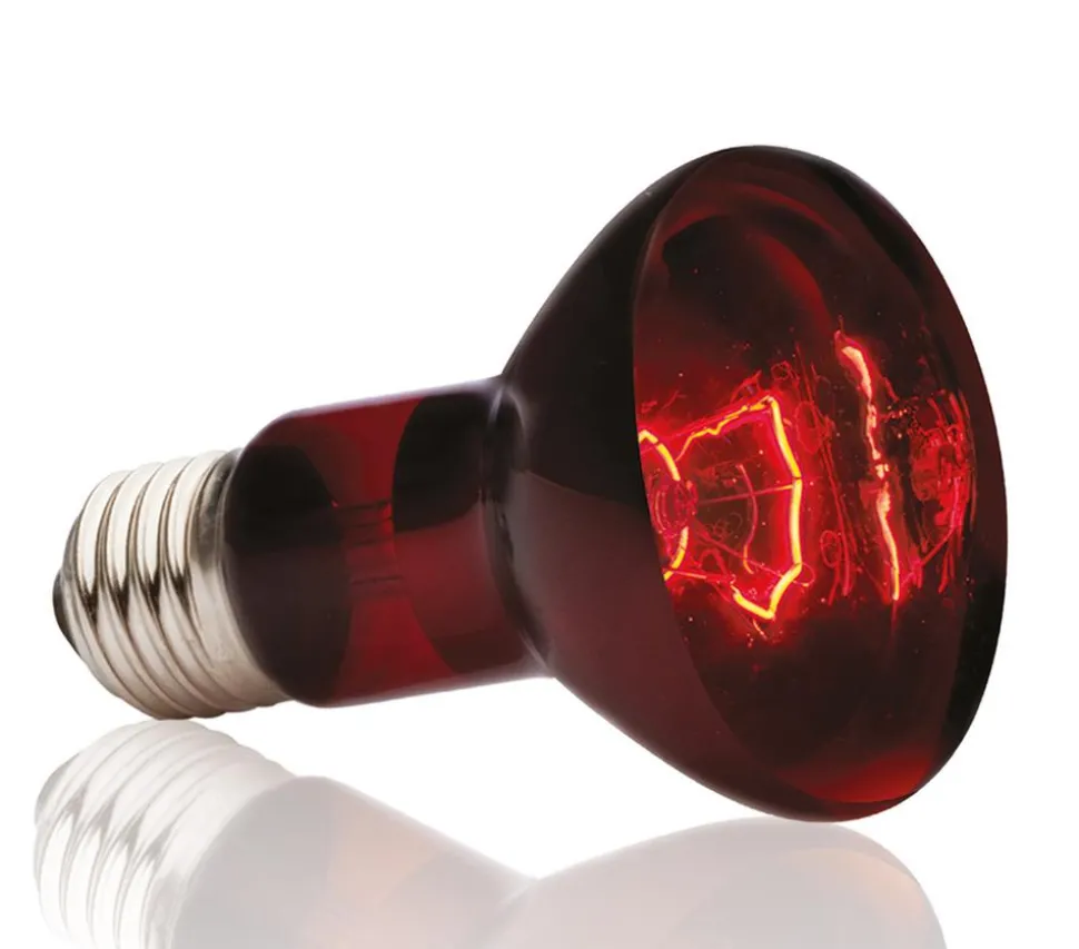 Exo Terra® Infrared Basking Spot
