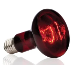 Exo Terra® Infrared Basking Spot