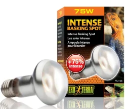 Exo Terra® Intense Basking Spot