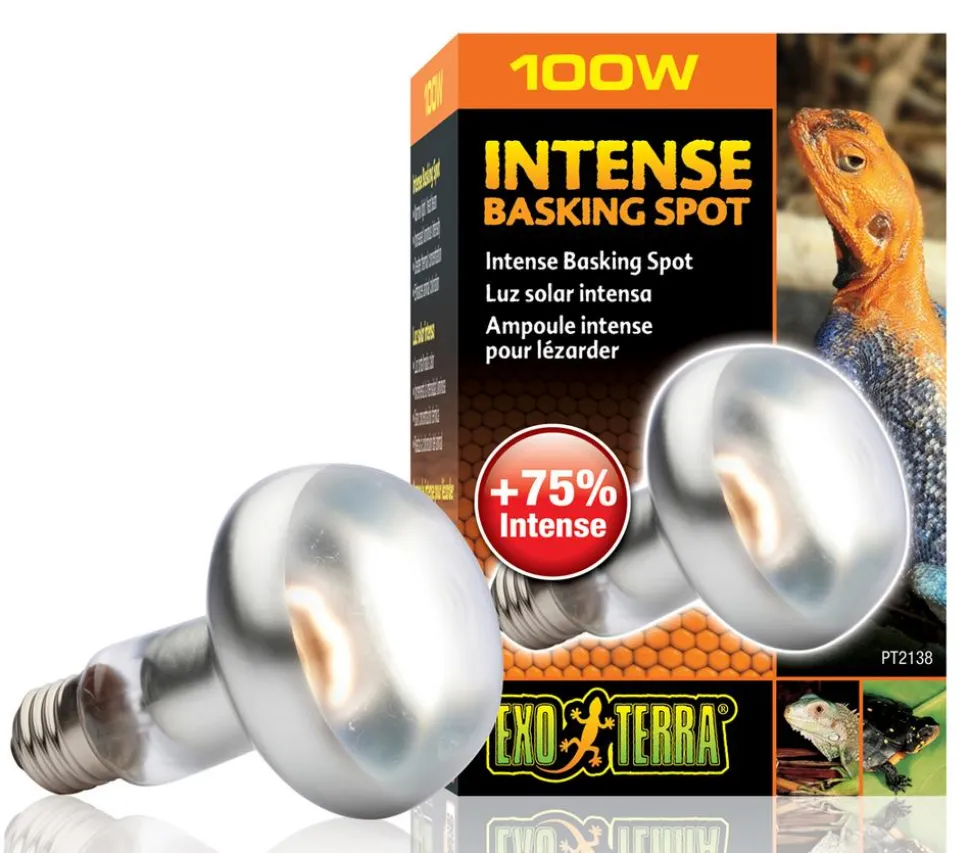 Exo Terra® Intense Basking Spot