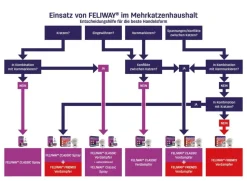 FELIWAY® Classic Nachfüllflakon, 3er-Set