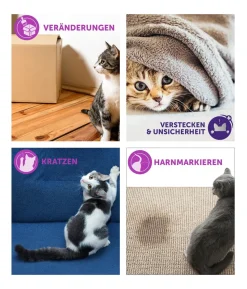 FELIWAY® Classic Nachfüllflakon, 3er-Set