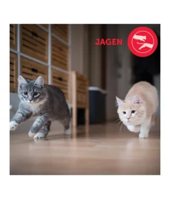 FELIWAY® Friends Nachfüllflakon, 3er-Set