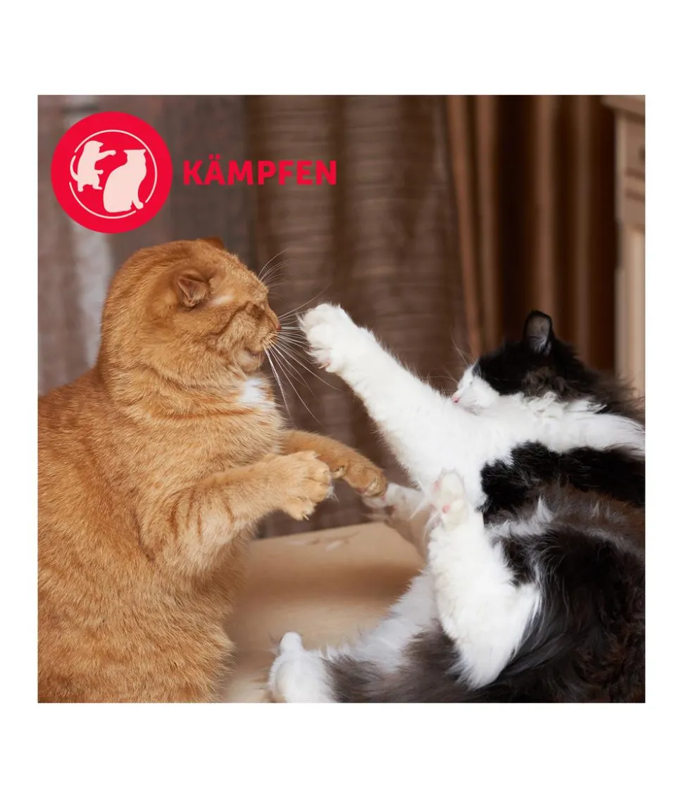 FELIWAY® Friends Nachfüllflakon, 3er-Set