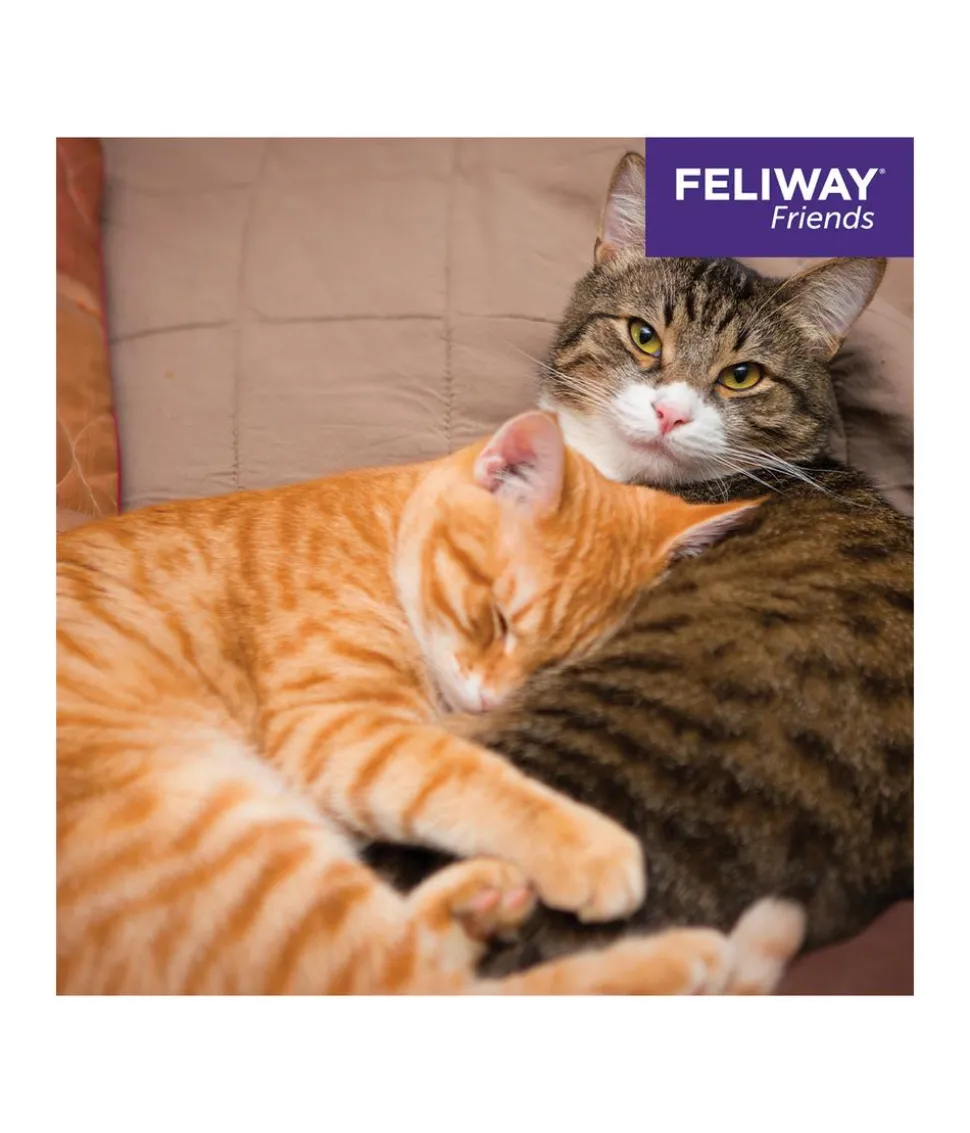 FELIWAY® Friends Nachfüllflakon, 3er-Set