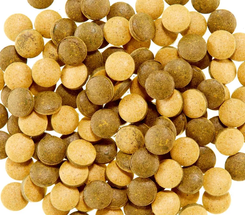 Fischfutter Tetra Pleco Tablets