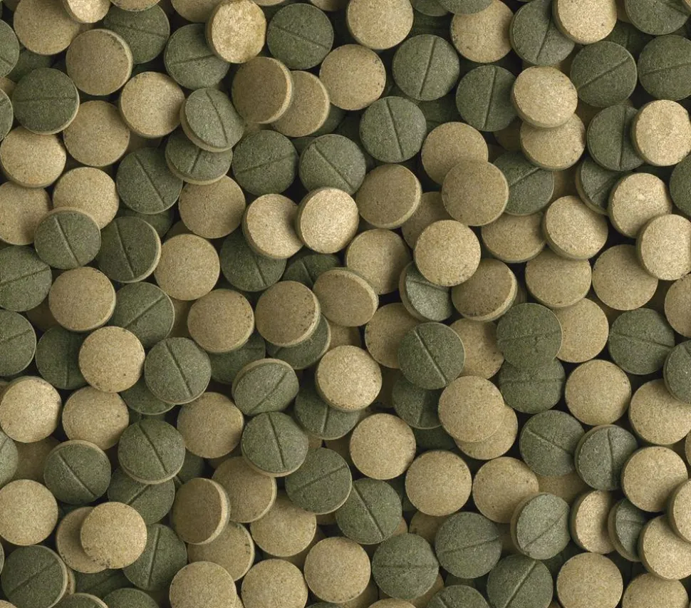 Fischfutter Tetra Pleco Tablets