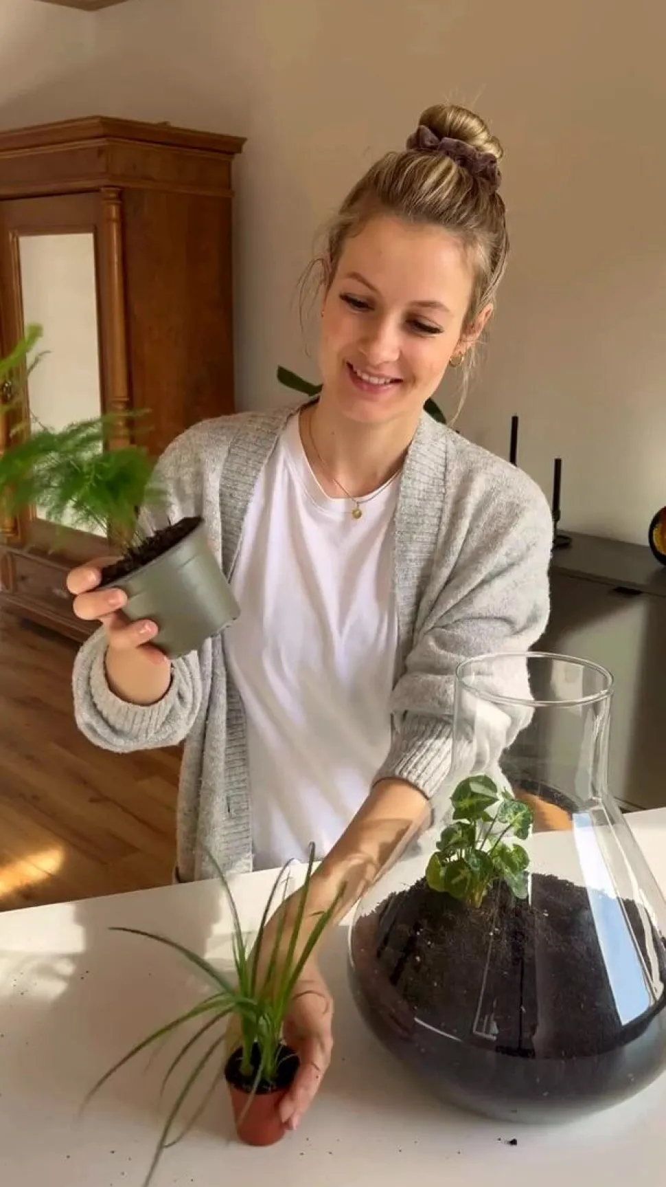 Flaschengarten DIY-Set Mini-Urwald, 8-teilig