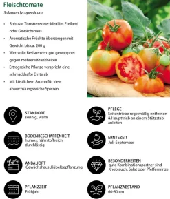 Fleischtomate, rot