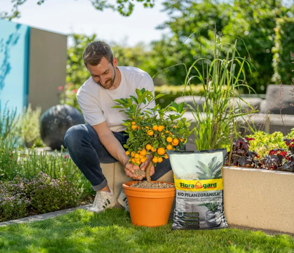 Floragard Bio Pflanzgranulat