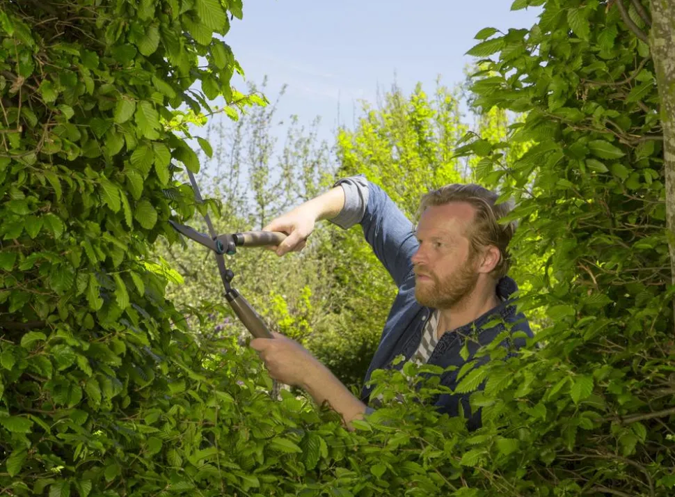 GARDENA Heckenschere NatureCut