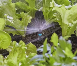 GARDENA Micro-Drip-System T-Stück für Sprühdüsen, 1/2", 5 Stk.