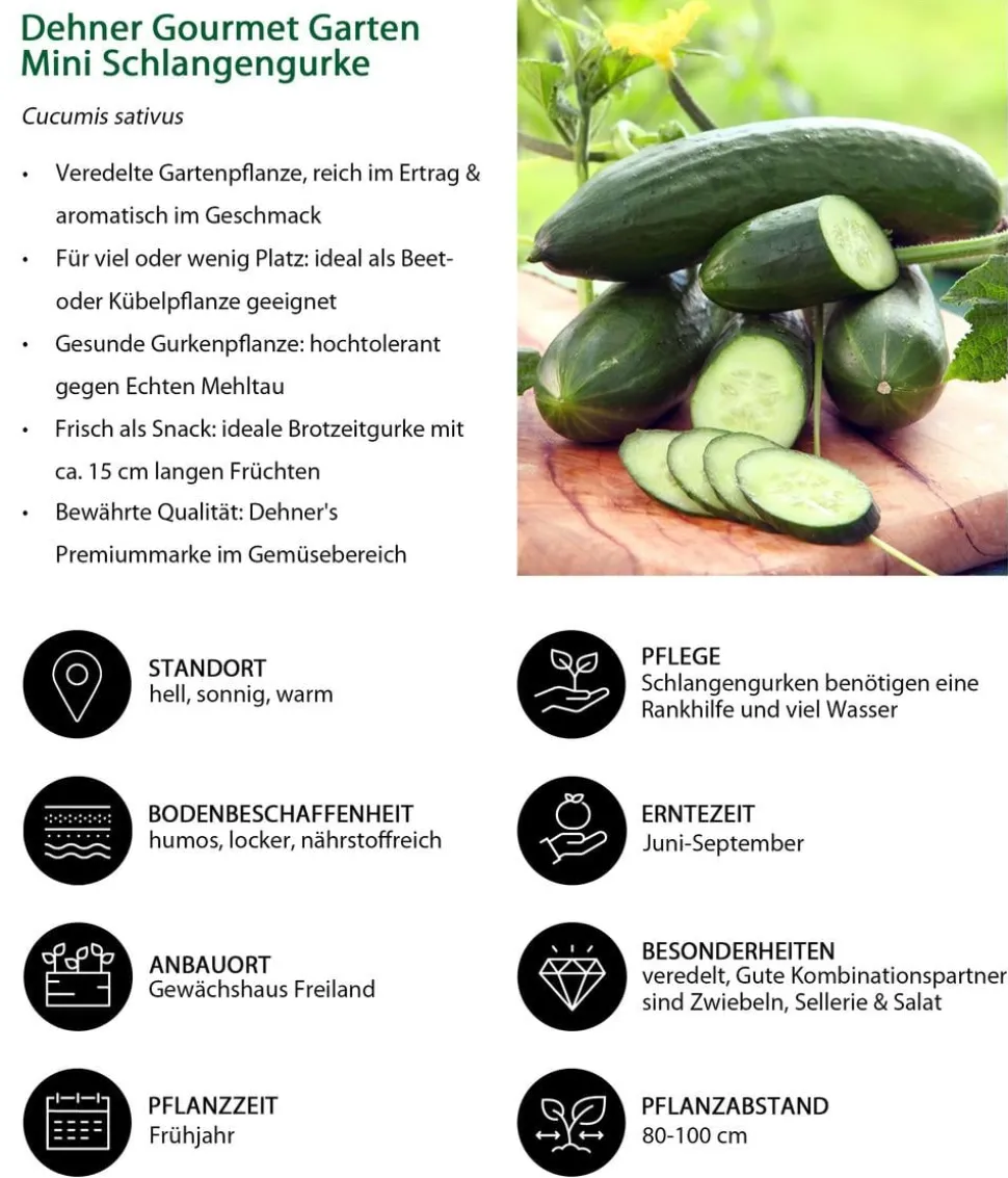 Gemüse-Set Gurkensalat, 3-teilig