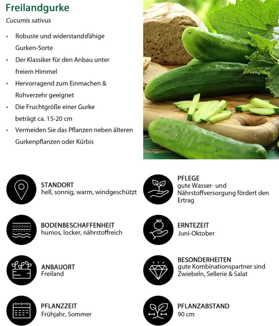 Gemüse-Set Gurkensalat, 3-teilig