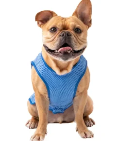 GF PET® Elastofit® Hundekühlweste
