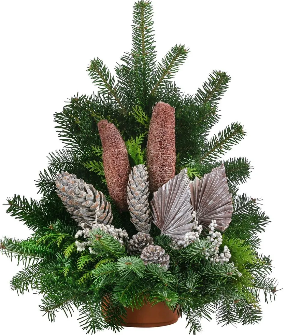 Grabgesteck aus Nordmann-Tanne, braun, ca. B60/H55/T35 cm